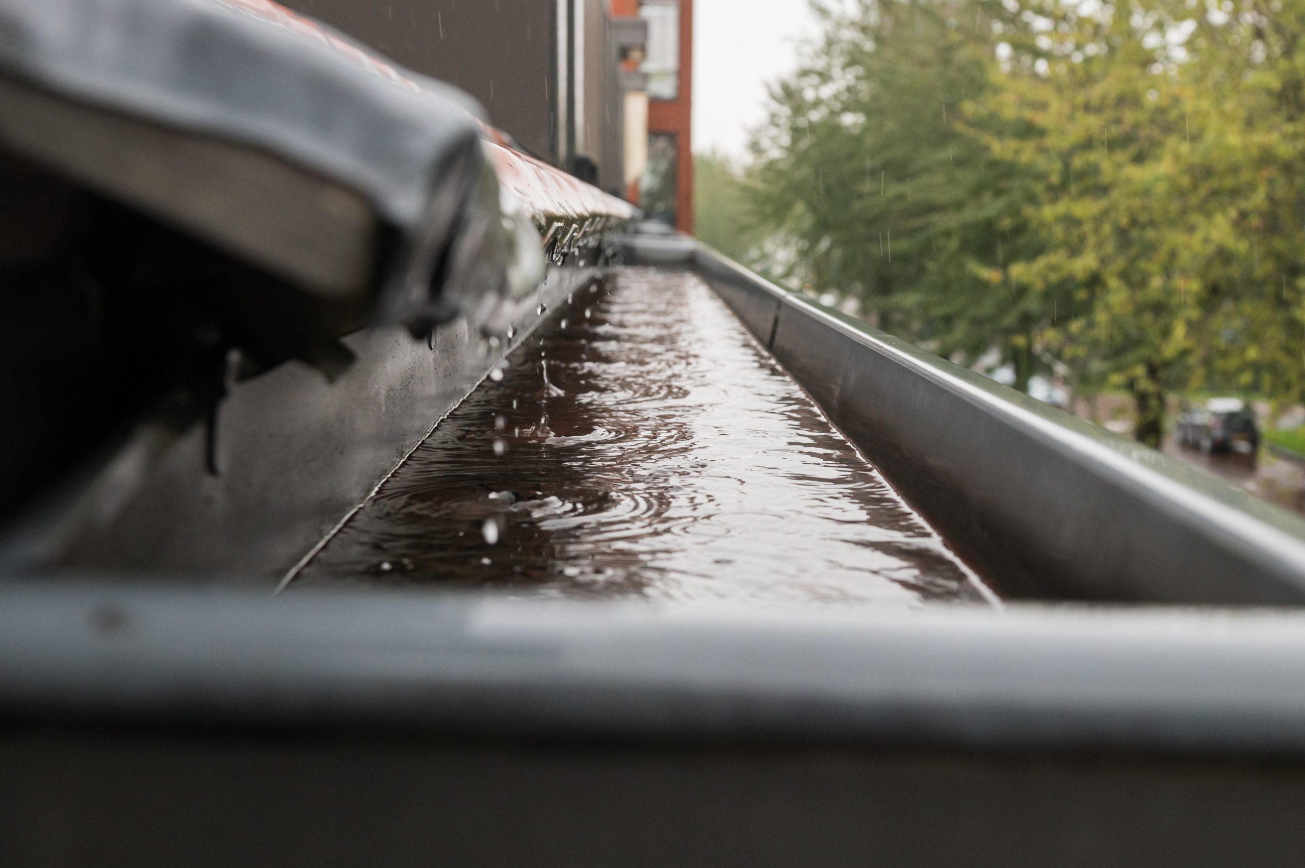 The Importance of Rainwater Harvesting for a Sustainable Future
