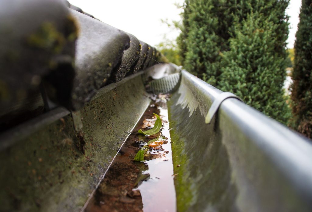 Rainwater Gutter replacement
