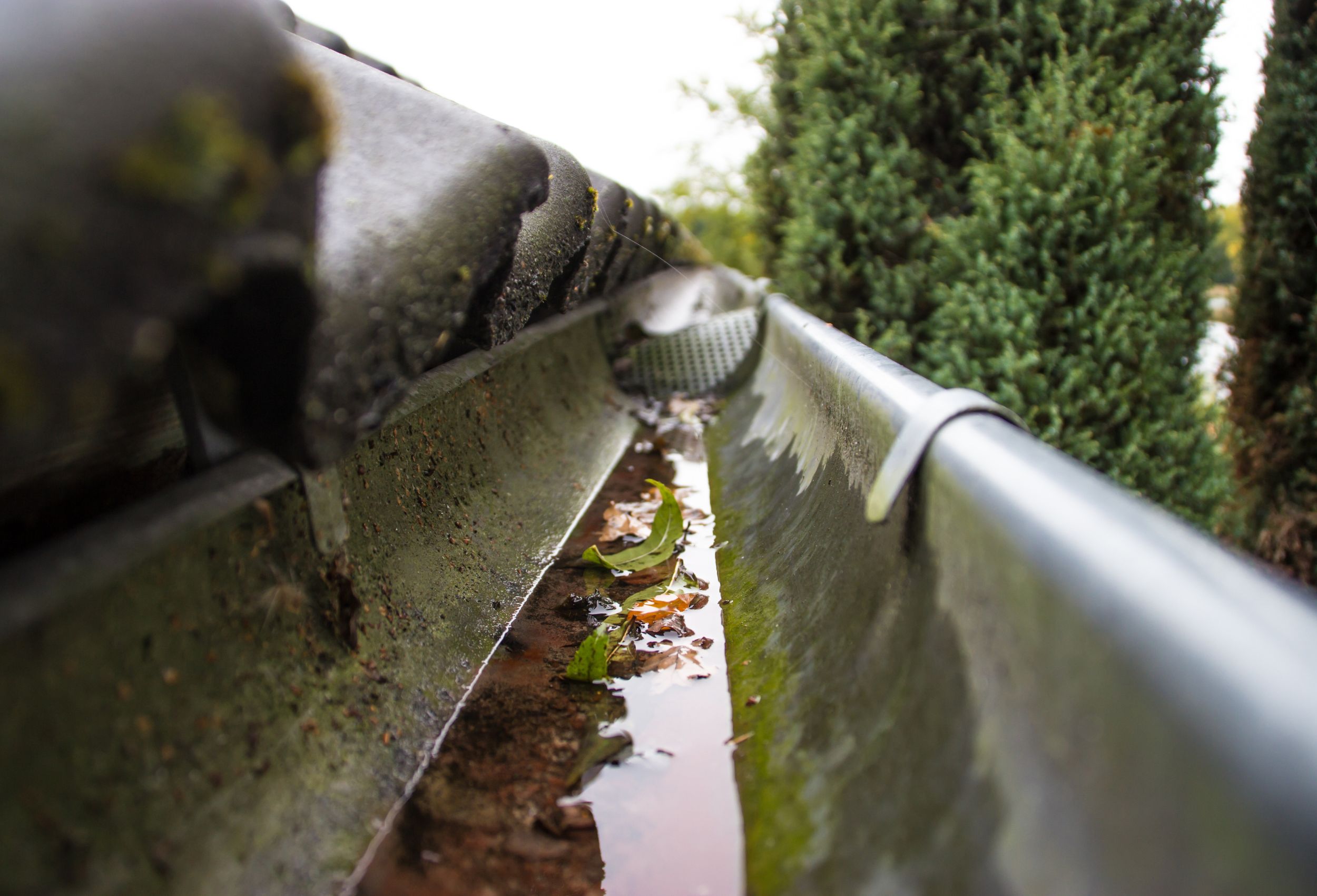 Rainwater Gutter replacement