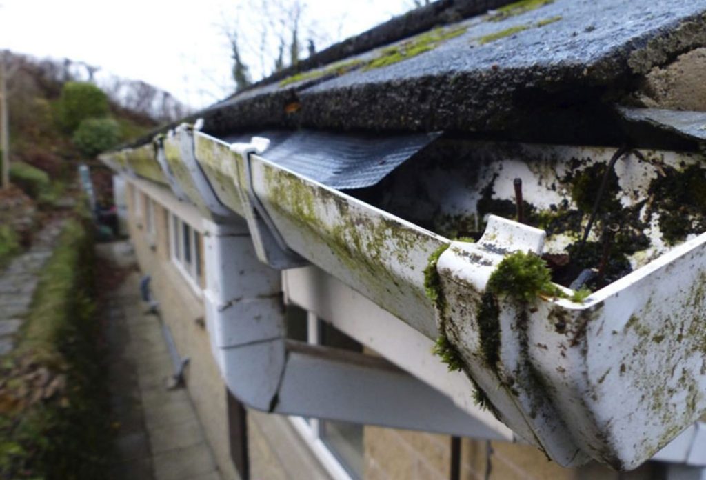 Signs Your Rainwater Gutter Needs Replacement