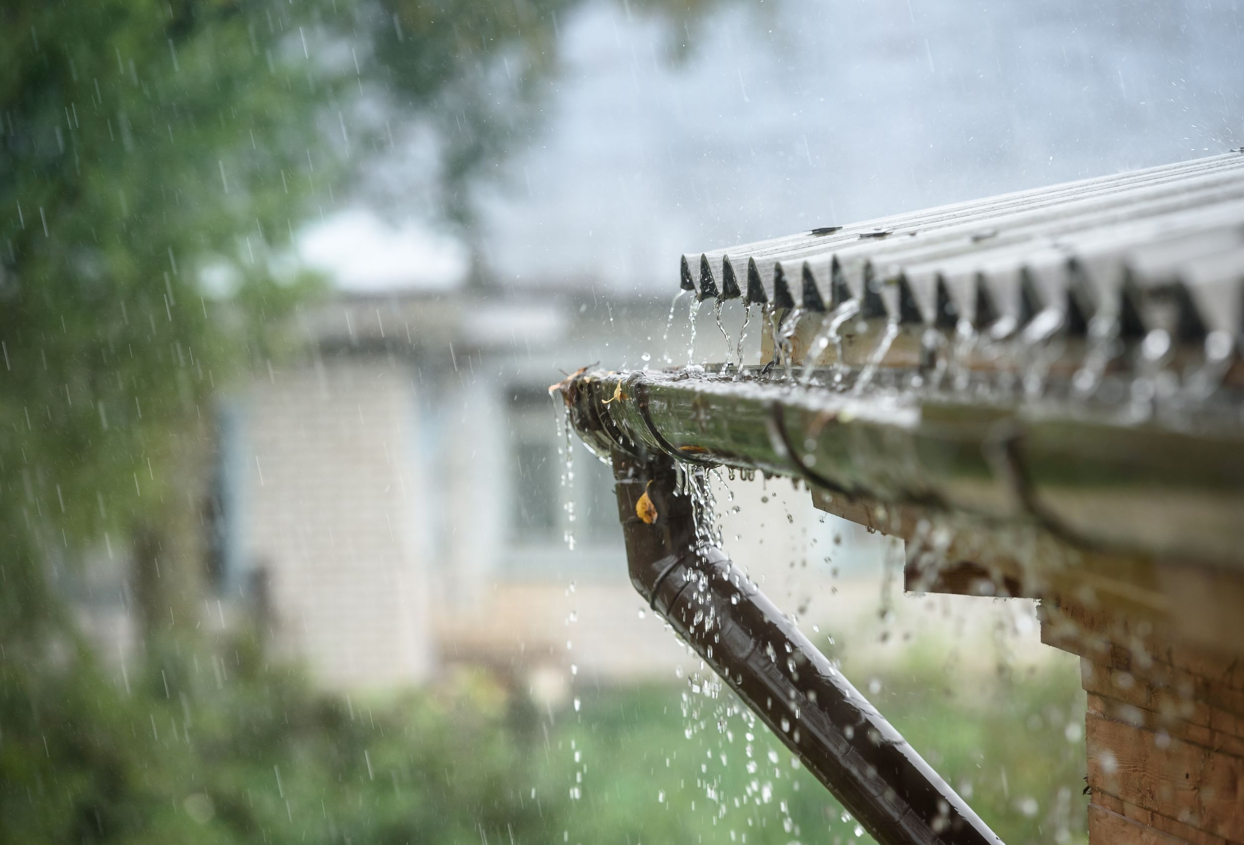 Water Harvesting with Gutters