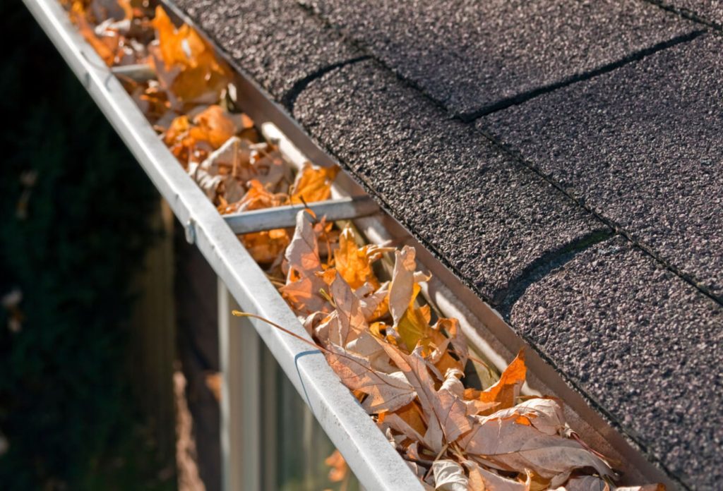 Clogged Gutters